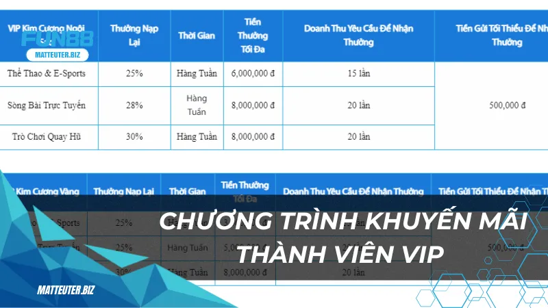 Chương trình khuyến mãi thành viên VIP đặc biệt